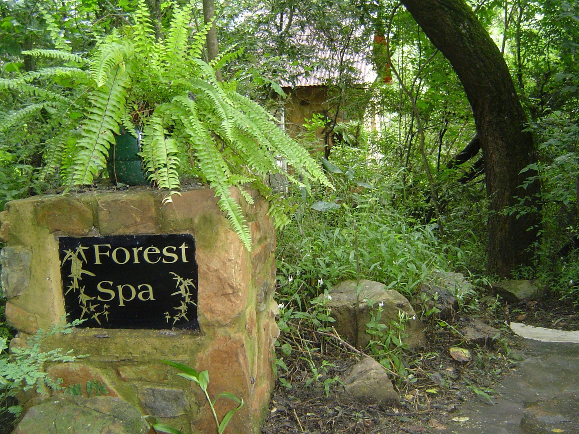 Forest Creek Lodge & Spa Dullstroom Exterior foto